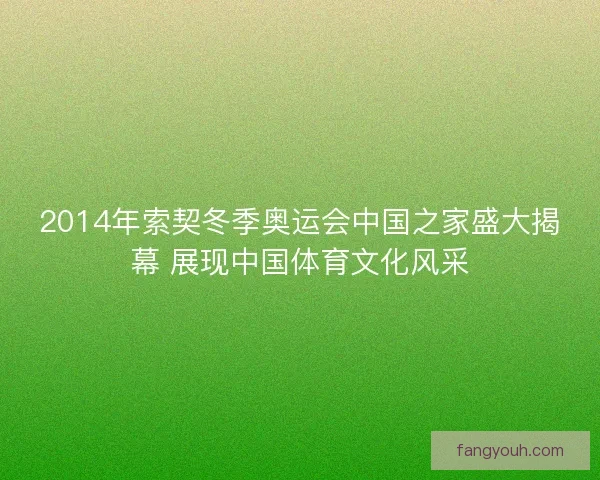 2014年索契冬季奥运会中国之家盛大揭幕 展现中国体育文化风采 2014年索契冬季奥运会中国之家盛大揭幕 展现中国体育文化风采